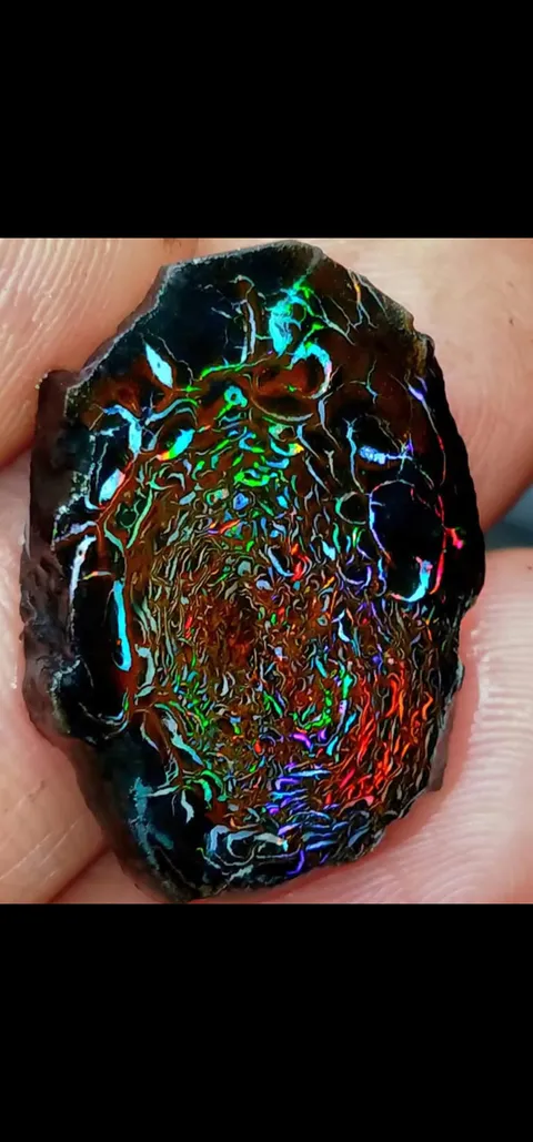 Boulder Opal from Opalton - Australia