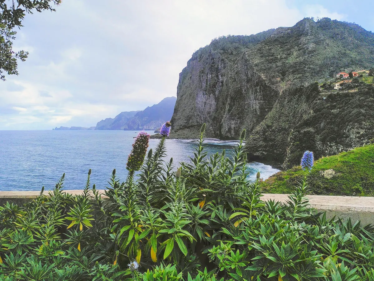 Madeira is a paradise for nature lovers. Five days on the island in pictures.