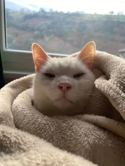 I hope my girl can brighten up someone’s day 🌞