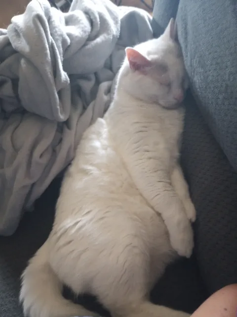 Paul is snoring right now.