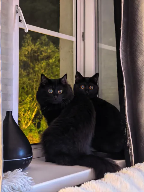 My sweet buns