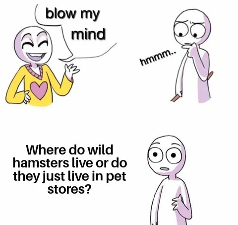 Ive never seen one in real life other than a pet store