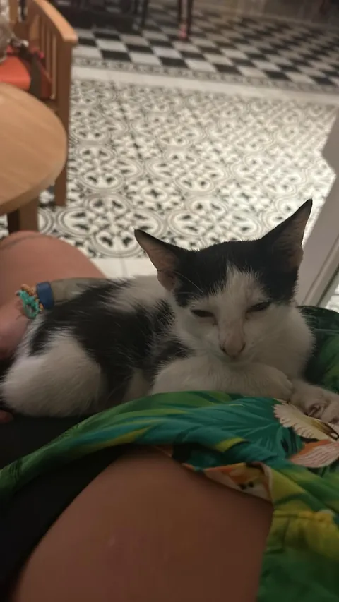 His first night off the street