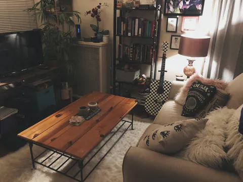 I live in a 100-year-old 400sqft studio in Lincoln Park, Chicago and I love it so much