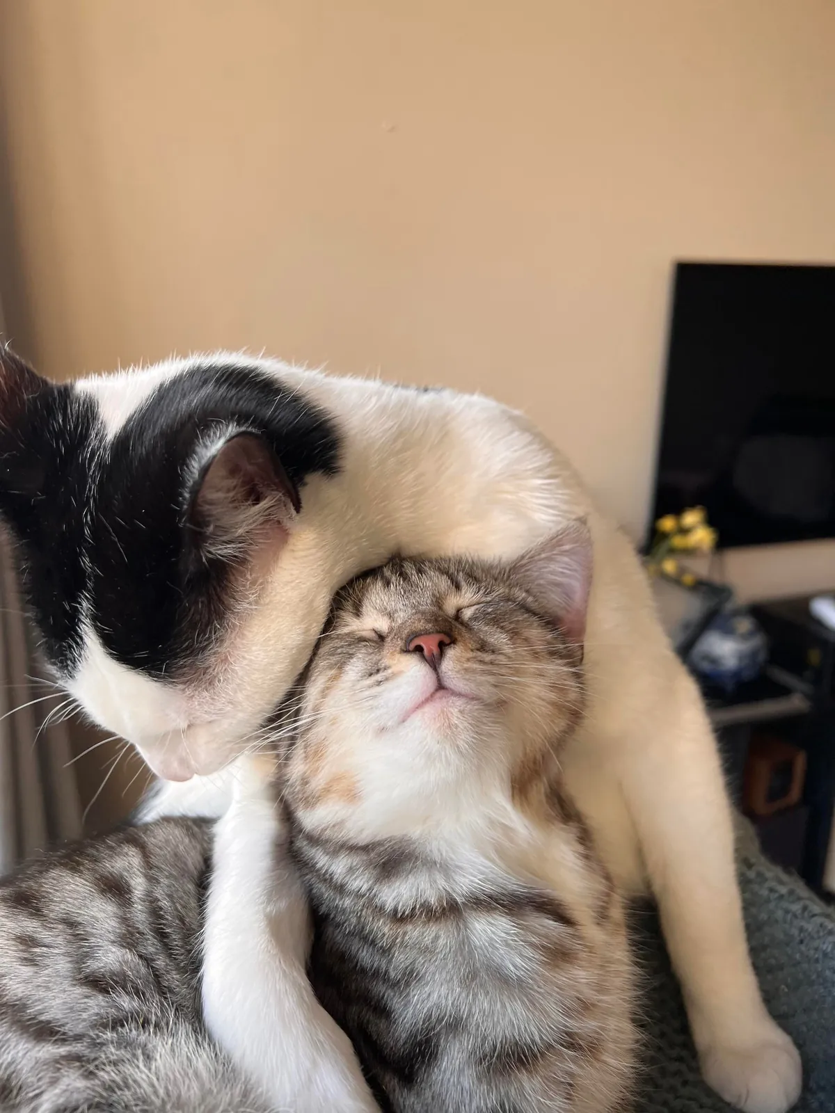 These guys have only known each other a few weeks