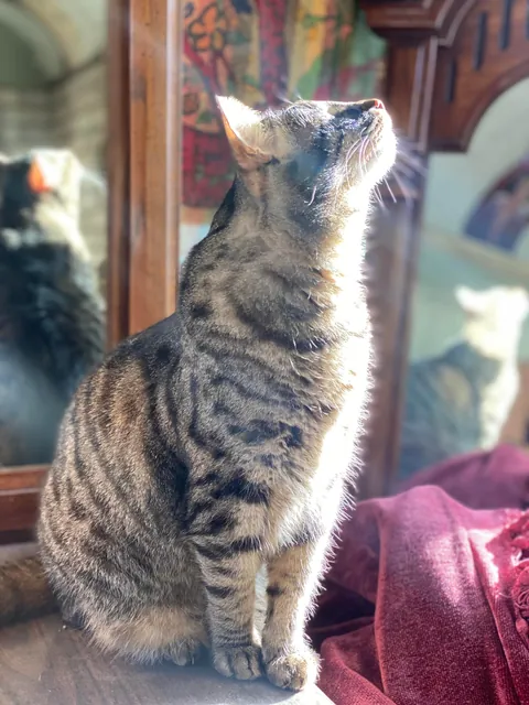 Said goodbye to my eyeless boy