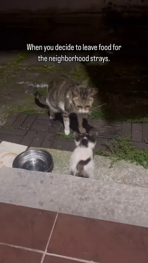 Car distribution system 