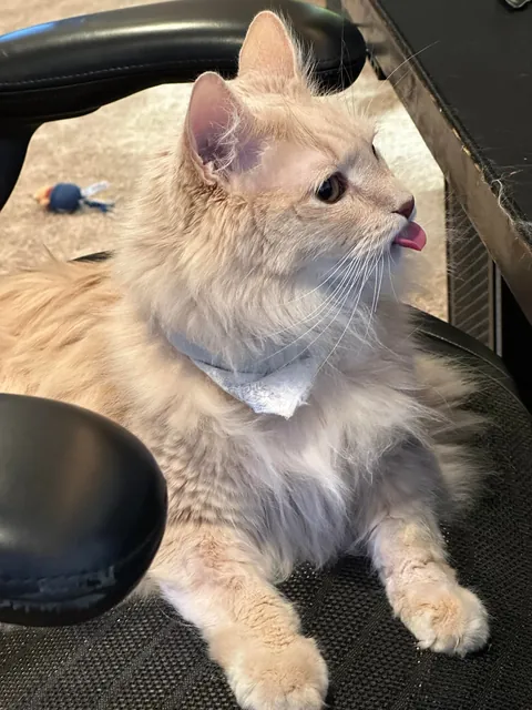 Gahwd I love him 💕