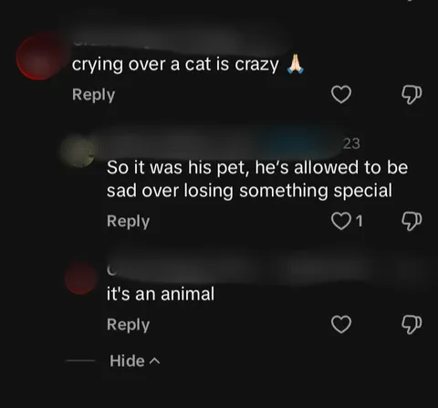 This dude thinks that crying over the death of a pet is "crazy".