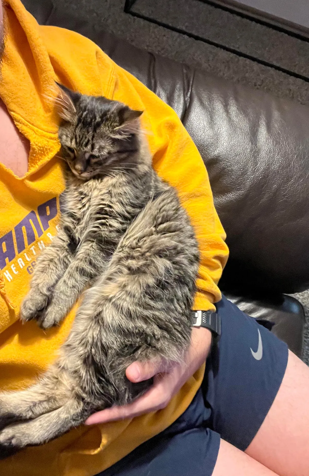 Every time I sit down he insists on taking his naps in my arm