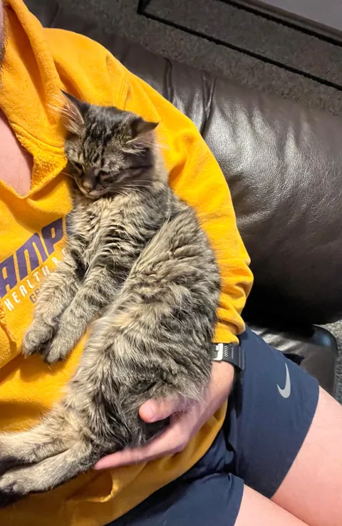 Every time I sit down he insists on taking his naps in my arm