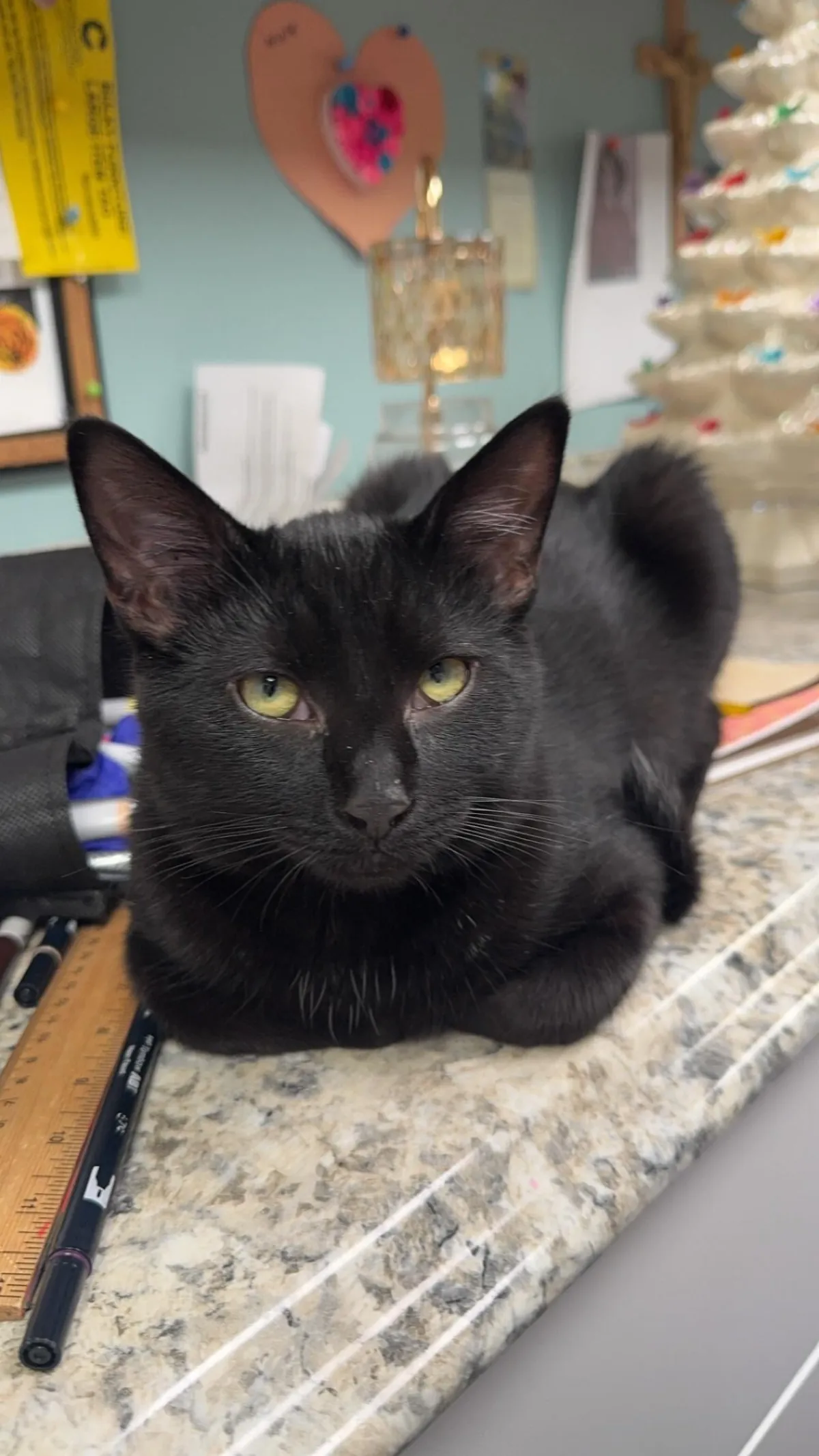 The most handsome man