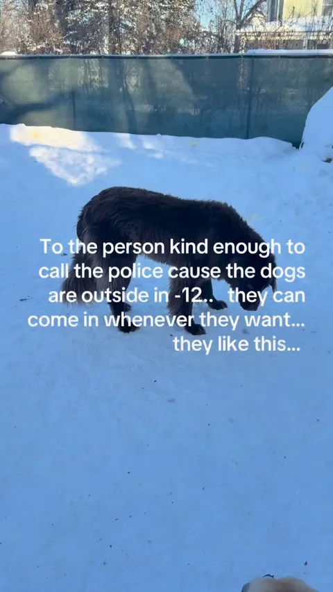 It’s -12, just got done talking to the local police. Satans view on this is you should be outside