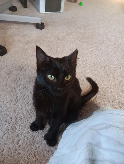 Our Lil Handsom boy...