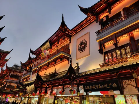 A Winter Visit Around China (Guangzhou, Chongqing, Shanghai, Zhengzhou)