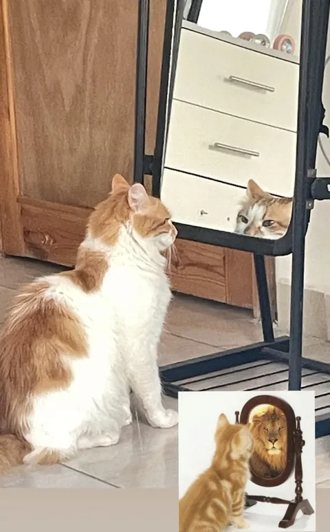 He been staring at the mirror for 15 min😭