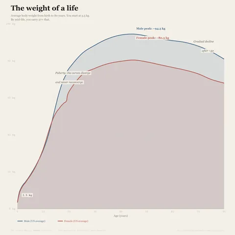 [OC] The Weight of a Life - Average Body Weight From Birth to 80 Years