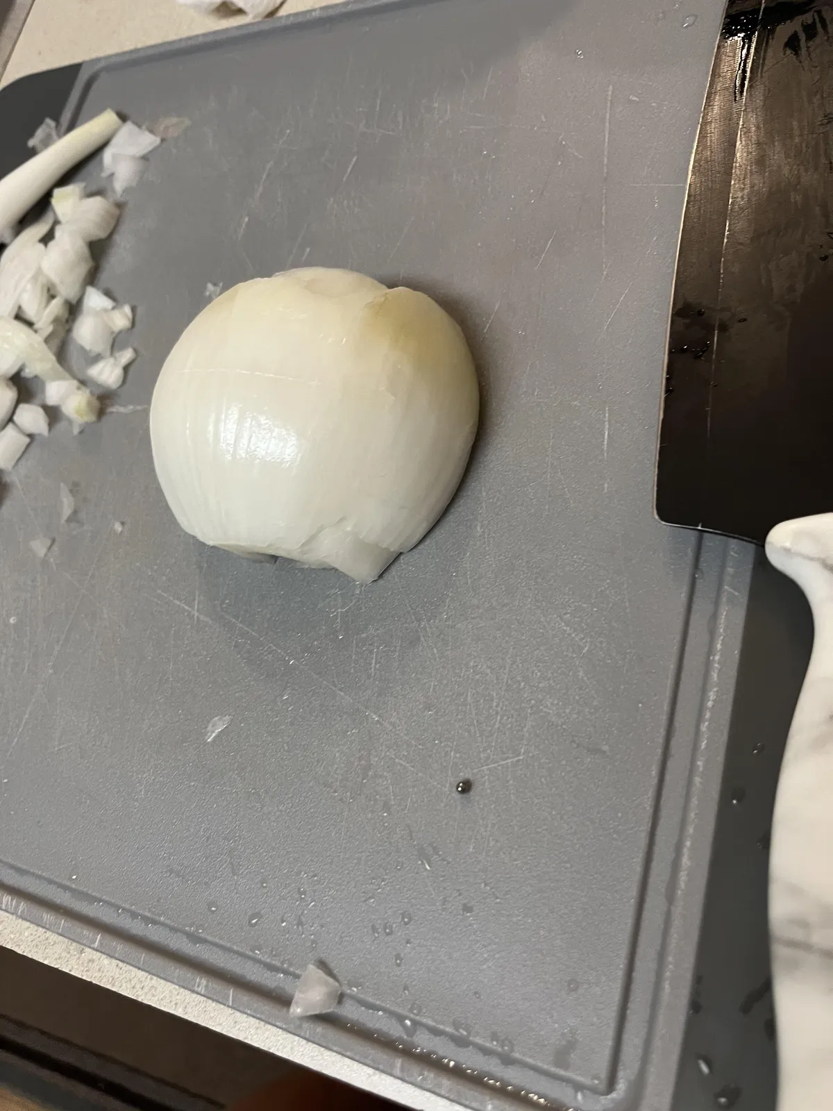 Found a metal bead in my onion