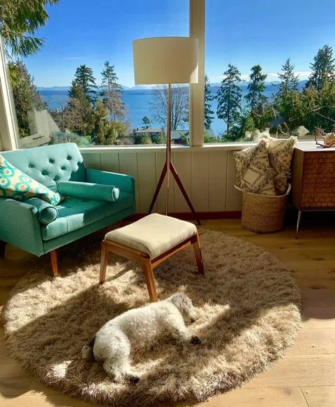 My little Murray all cozied up on his comfy rug enjoying a sunbeam