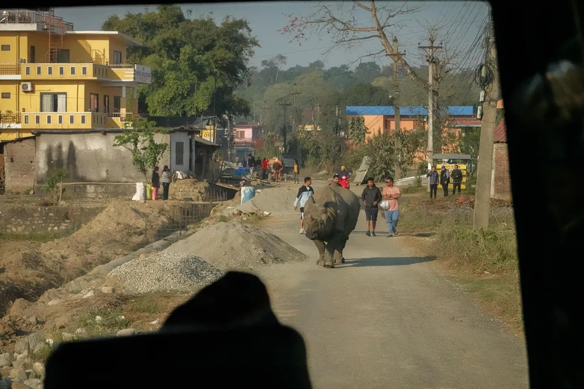 In 2024 I visited 16 different countries. Here is my favourite photo from each!