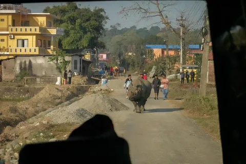 In 2024 I visited 16 different countries. Here is my favourite photo from each!