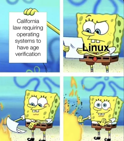 You literally cannot force Linux to do that