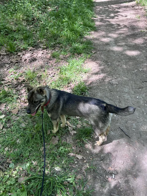 Update: my little boy I found on the streets