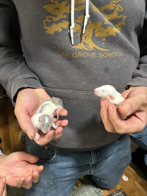 Welp now have 21 🤯