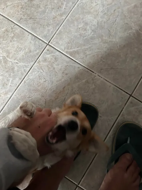 My tiny best friend