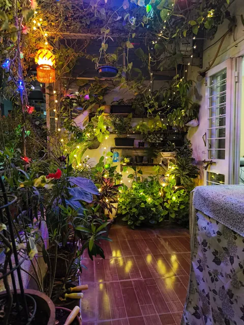 Posting my balcony garden for diwali 2025