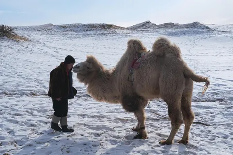 Mongolia in winter: Cold, quiet and unrivalled beauty 🇲🇳