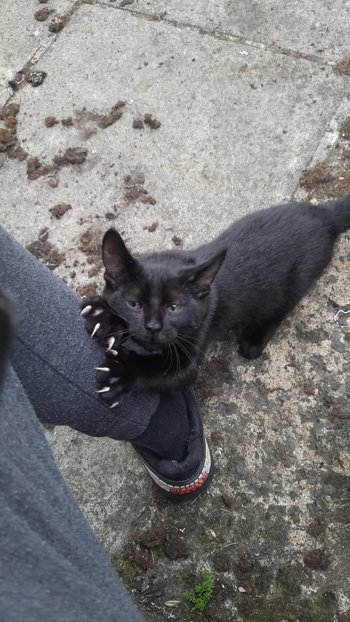 Equally cute and horrifying.