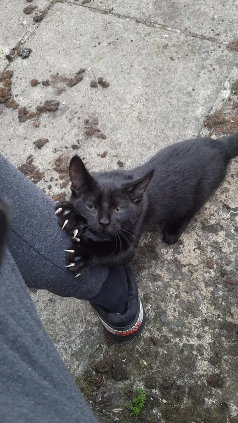 Equally cute and horrifying.