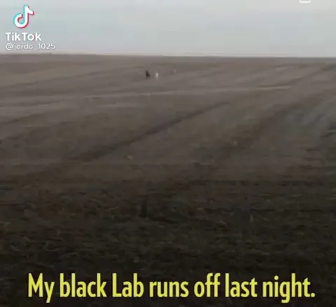 Black lab was like: Don’t worry my dad will give you a lift.