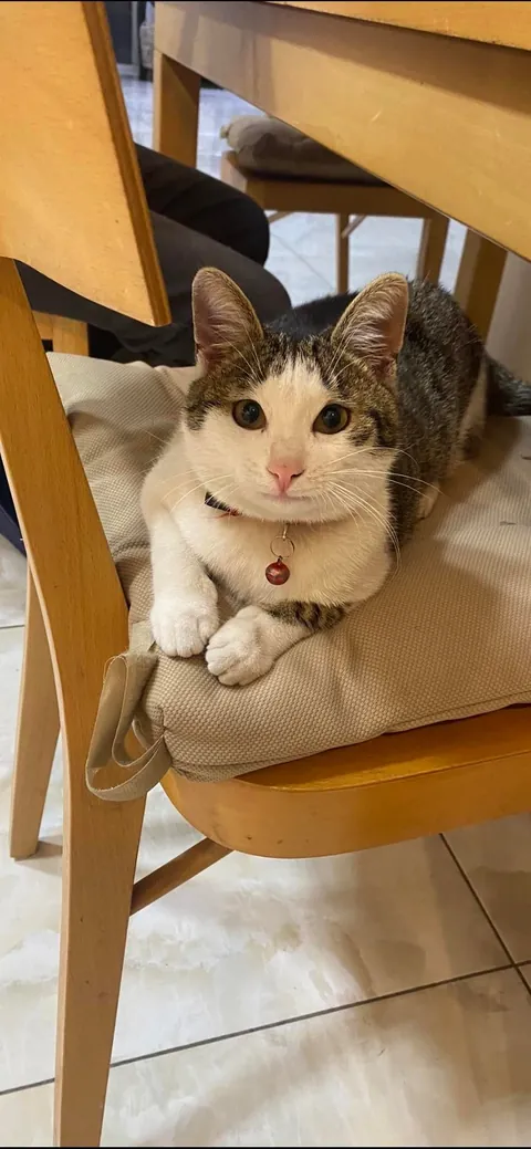 Before &amp; after, 5 months apart