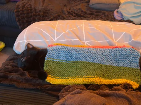Former stray cat enjoying his cushy indoor life and the blanket my partner knitted for him