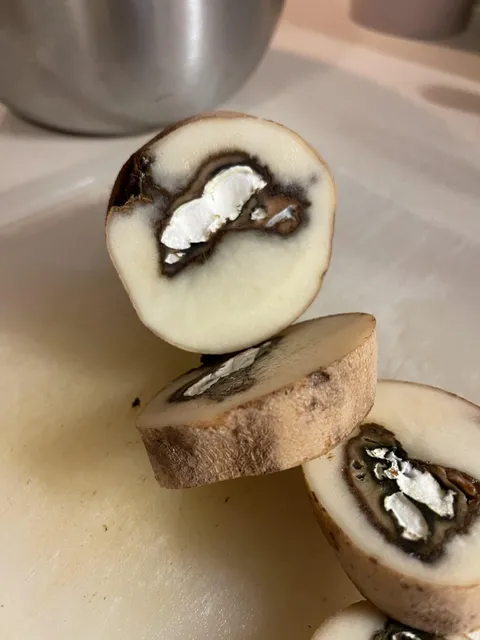 there’s a mushroom growing inside my potato