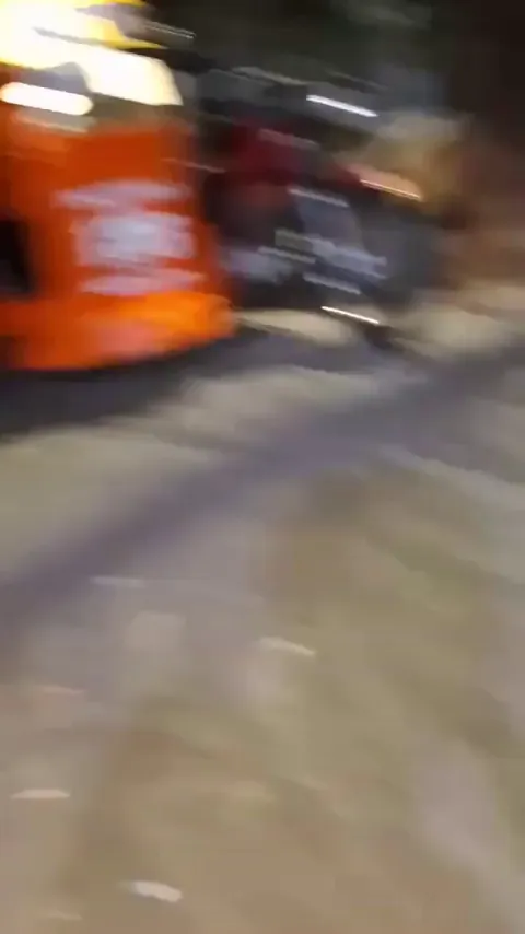Rat in the Philippines acting like they are a squirrel or baby kangaroo.
