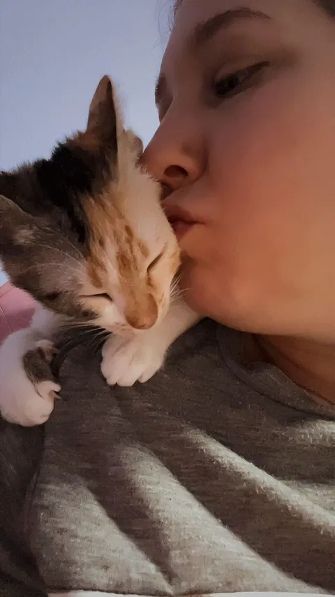 I lost my soul cat at just one year old, and I don’t know how to live with this pain