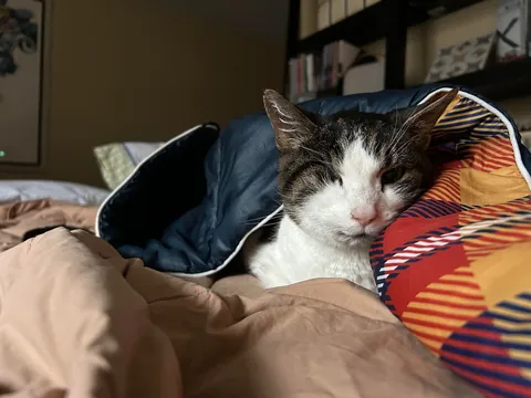 She held on for her 20th Christmas before letting go