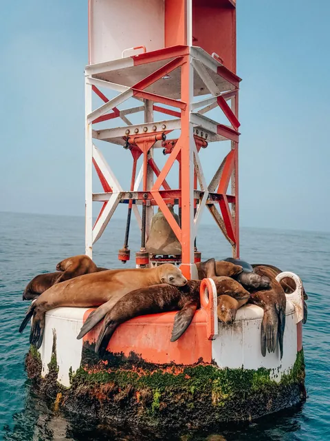 First time on the West Coast: 3 days in LA and I actually loved it