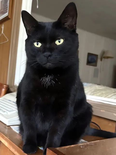 Watching the world go by