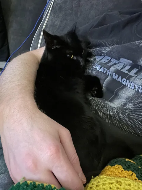 Somehow this tiny baby just turned 7 years old