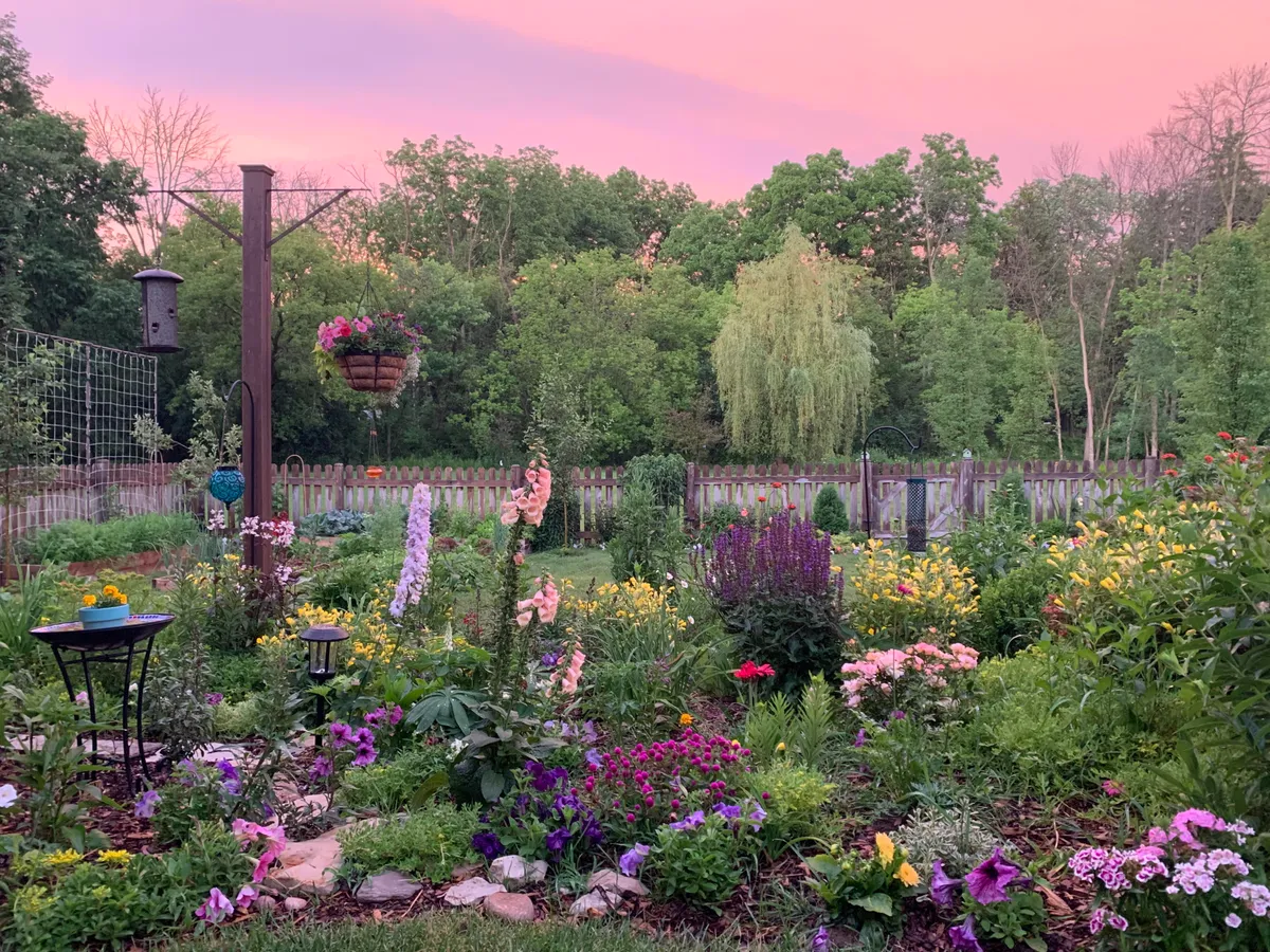 My garden is my happy place.