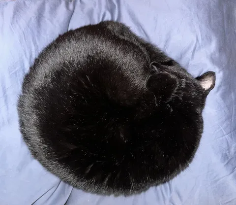 She is circular, infinite