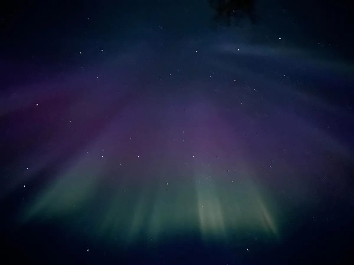 🔥 View of the northern lights from my house in Alaska last night! 🔥