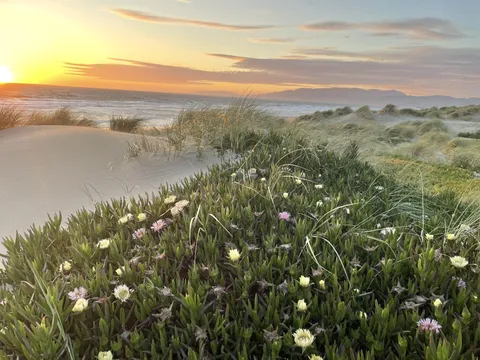 Ocean Beach, San Francisco, CA [4032x3024] [OC]