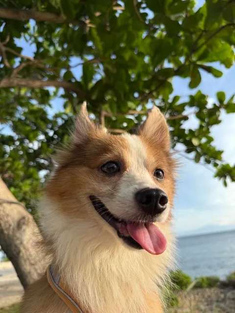 POV: You just realized the car ride didn’t end at the vet.
