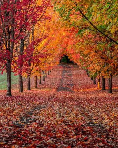 From the war torn hellscape of Portland, Oregon