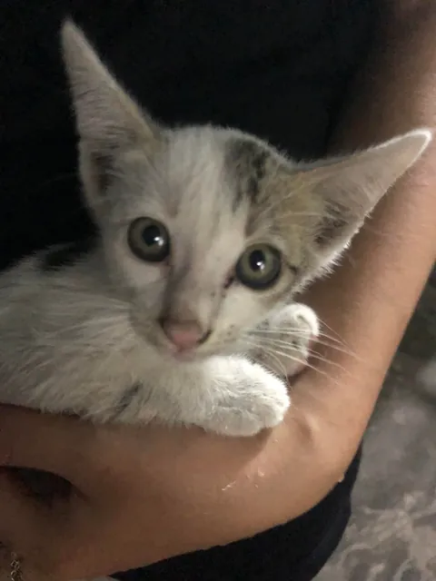 I just adopted him❤️